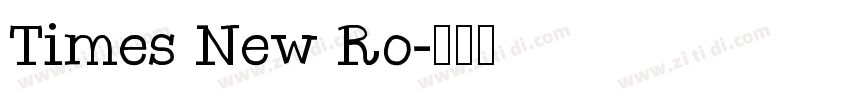 Times New Ro字体转换